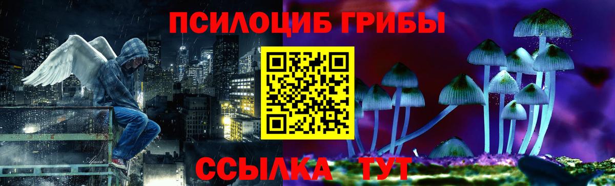 Галлюциногенные грибы Psilocybine cubensis  Вход с VPN  Керчь 